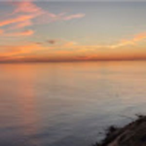 Meet your Posher, Ella